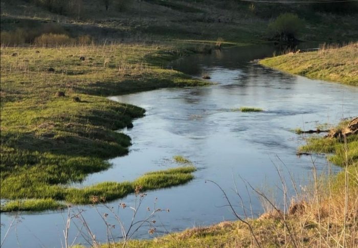 Природоохранная прокуратура будет разбираться, почему в водоохранной зоне реки Клязьма началось строительство коттеджного посёлка 