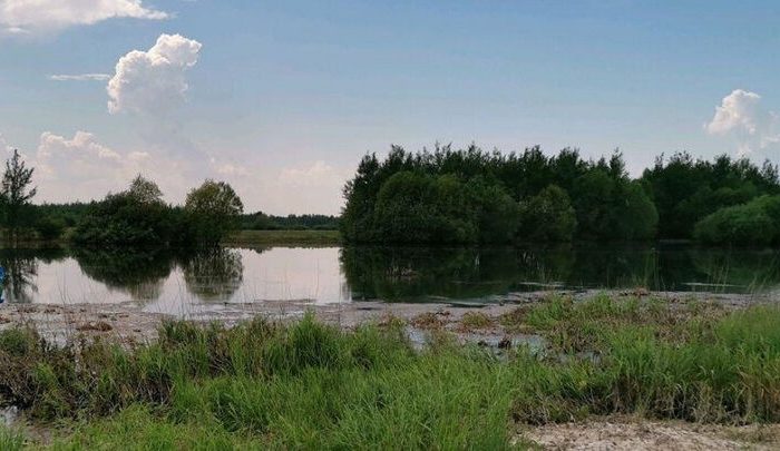 Сразу две коммунальные службы в Одинцовском округе были уличены в сбросе неочищенных вод в водные объекты