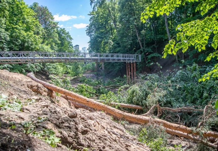 Глава Одинцовского округа обещает проконтролировать компенсацию вырубленных деревьев в Звенигороде 