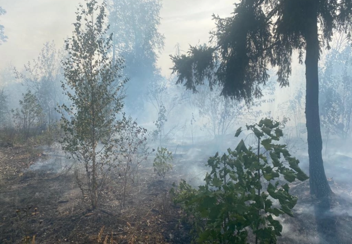 За последние сутки на территории Московской области произошло 16 возгораний на общей площади 10,14 га