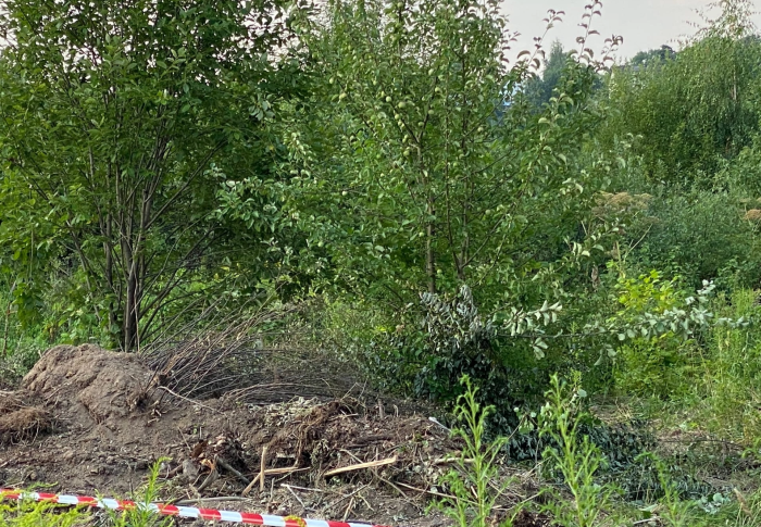 В селе Ромашково на федеральной земле уничтожают зелёные насаждения: пример того, чем опасна  аренда государственных земель