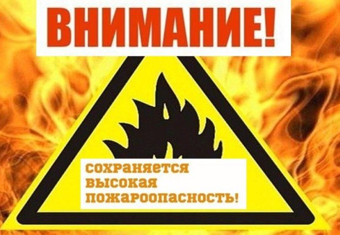 Ближайшие дни в Подмосковье объявлены пожароопасными 