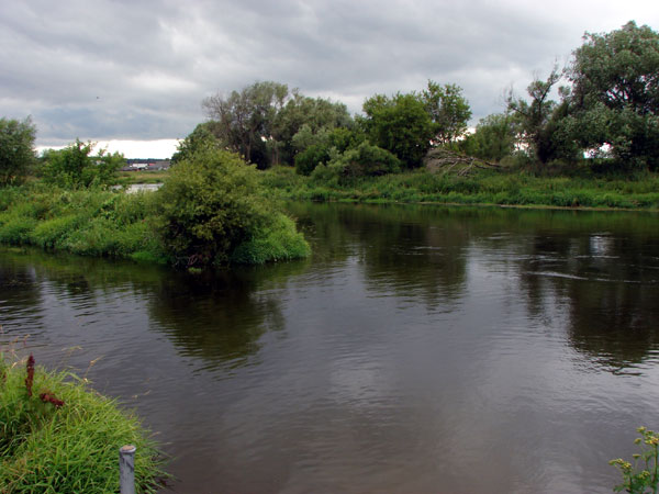 Росприроднадзор обнаружил значительное превышение ПДК в Москве-реке на территории Звенигорода