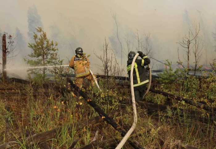 6012 га на землях лесного фонда, пройдено огнём в Рязанской области