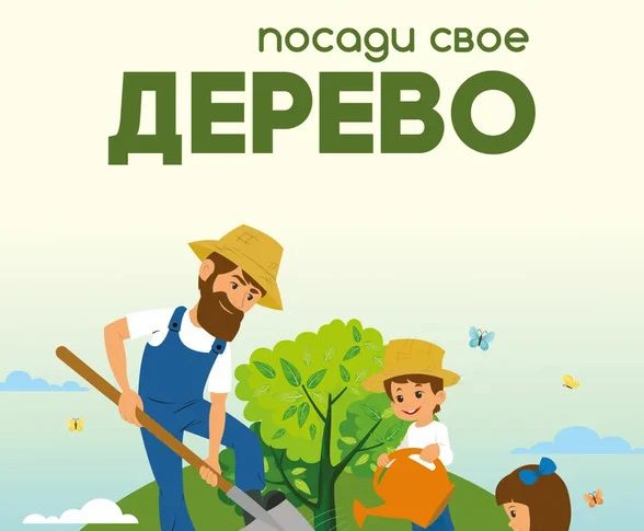 С сегодняшнего дня и до конца месяца в Подмосковье пройдёт традиционная  экологическая акция  «Наш лес. Посади свое дерево»