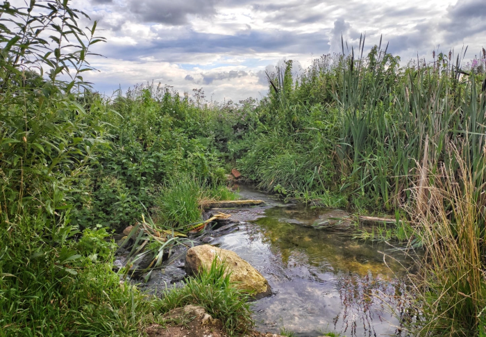 Минэкологии МО напомнила администрации Ленинского г.о. об ответственности за неблагополучное состояние реки Юшунка 