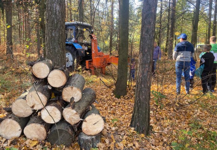 Более 70 га лесных участков Подмосковья очищено от мусора и сухостоя в рамках акции «Чистый лес» в 2023 году 