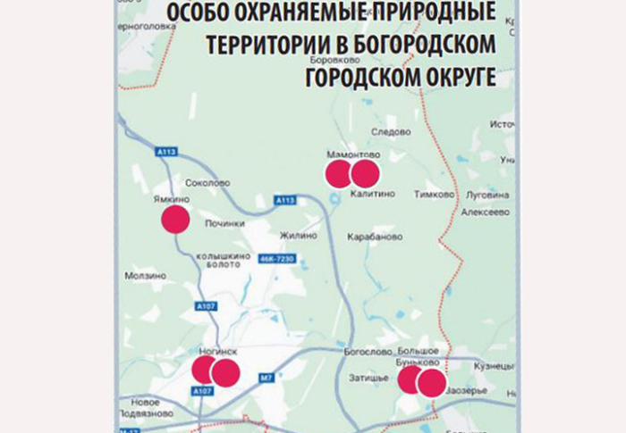 Лишились семи особо охраняемых природных территорий:  Жители Богородского городского округа просят Президента России отменить решения местных депутатов, упразднивших ООПТ местного значения 