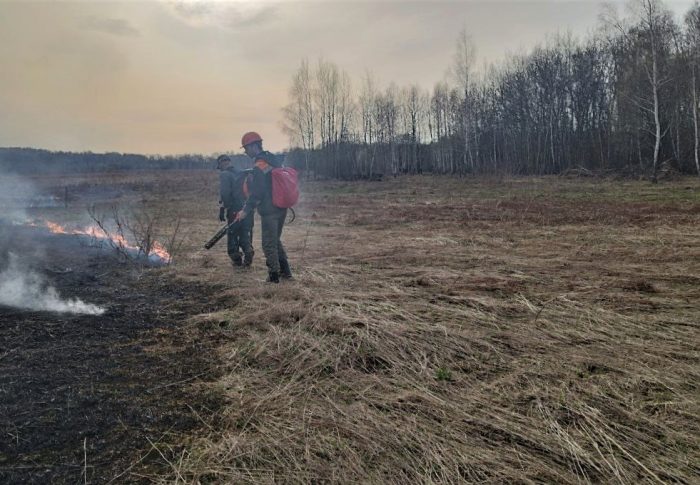 Пожароопасный сезон открыт в большинстве субъектов России, в том числе и Московской области
